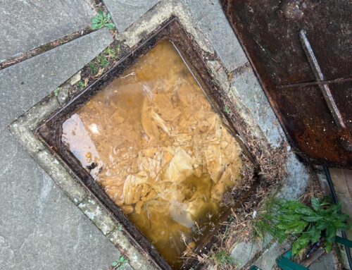 Blocked Drain – Wet Wipes Causing Issue in Camberley